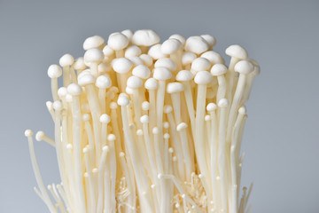 Enoki mushroom, Golden needle mushroom