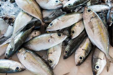 Obraz premium Fresh fishes in a market local market