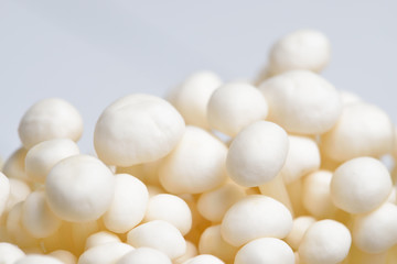 Enoki mushroom, Golden needle mushroom