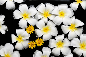 Fototapeta premium Spa , wellness & aromatherapy concept,beautiful flowers in the