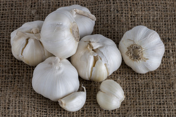 garlic bulbs with garlic cloves on gunny background
