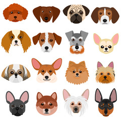 small dog faces set on white background