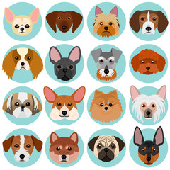 small dog faces set with circle