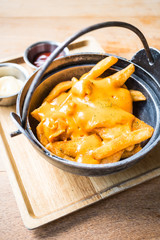 French fries with cheese on top