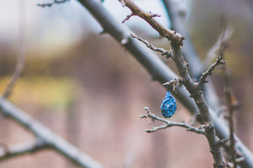 autumn purple fruit on a tree beautiful blurred colored background