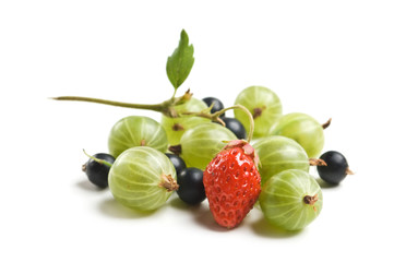 gooseberries, currants and strawberries