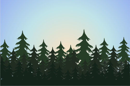 landscape with fir trees, forest background, hand drawn vector illustration