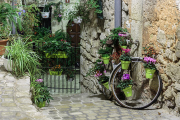 Fototapeta na wymiar Narrow cobbled street with flowers in the old village Tourrettes