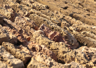 Old brick wall of a medieval fortress