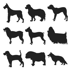 Set of dogs black silhouette