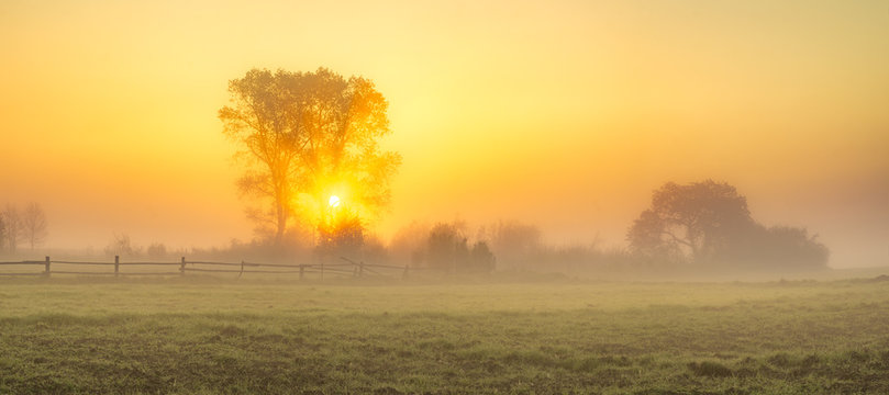 Fototapeta foggy, sunny morning in the countryside