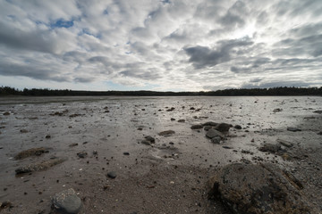 Bay of Fundy near Pocologan during low tide