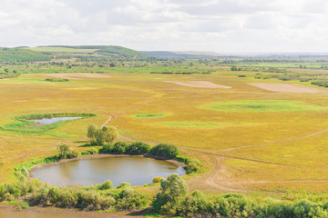 Fototapeta na wymiar Yellow field with round lakes, top view