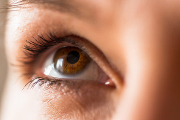 Eye close up details