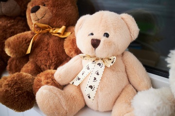  teddy bears on the window