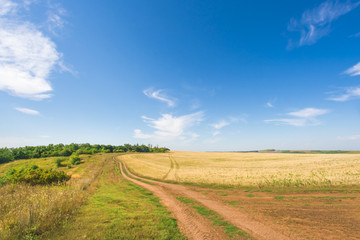 Country road through the field and the beautiful blue sky, background