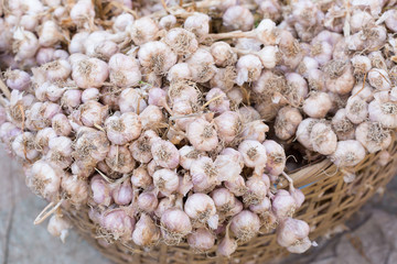 .Garlic on the market in thailand