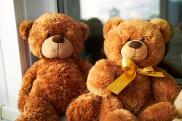  teddy bears on the window