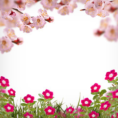 Flower background_76