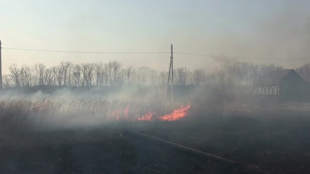 Fire in the field, burning dry grass.