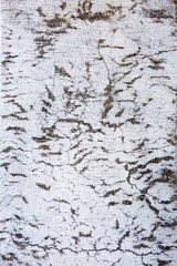 Cracked cement floor background