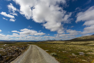 Path in Rondane national park norway