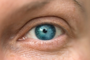 Fototapeta premium Single blue female eye, close up