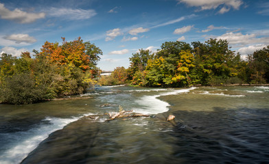 a waterfall with trees in fall colors in Ontario