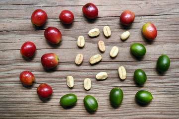 Fresh coffee bean on wooden background