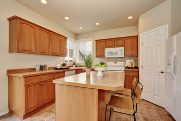 American Classic style kitchen interior with tile flooring