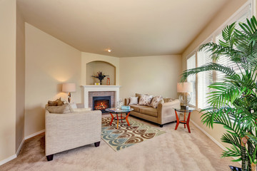 Cozy beige living room interior design