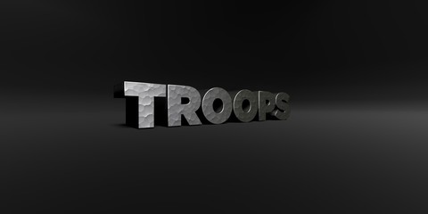 TROOPS - hammered metal finish text on black studio - 3D rendered royalty free stock photo. This image can be used for an online website banner ad or a print postcard.