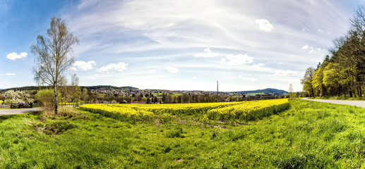 Naklejka premium The green field near village