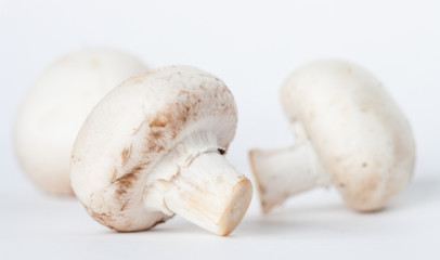 White mushrooms on neutral background