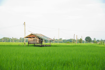 Obraz premium hut