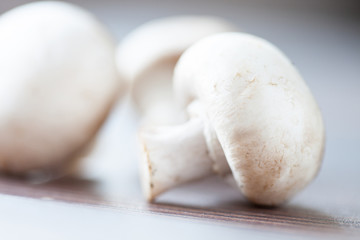 White mushrooms on neutral background