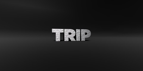 Obraz premium TRIP - hammered metal finish text on black studio - 3D rendered royalty free stock photo. This image can be used for an online website banner ad or a print postcard.