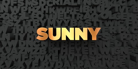 Sunny - Gold text on black background - 3D rendered royalty free stock picture. This image can be used for an online website banner ad or a print postcard.