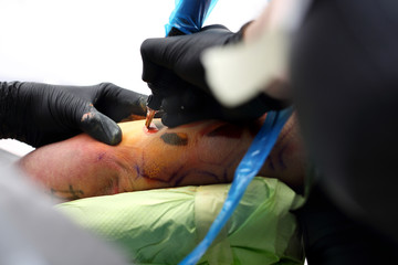 Tatuowanie. Tatuator tatuuje kolorowy tatuaż na ręku mężczyzny - obrazy, fototapety, plakaty