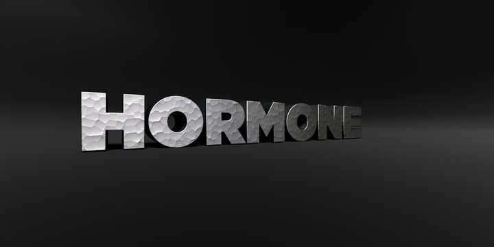 HORMONE - hammered metal finish text on black studio - 3D rendered royalty free stock photo. This image can be used for an online website banner ad or a print postcard.