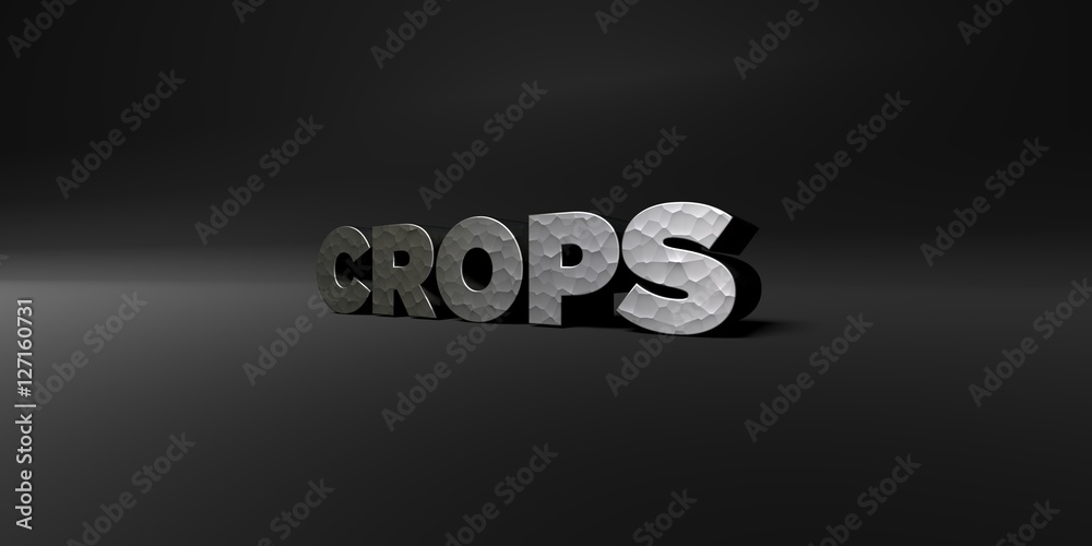 Fototapete crops - hammered metal finish text on black studio - 3d rendered royalty free stock photo. this imag