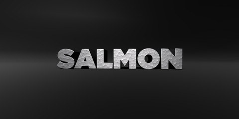 SALMON - hammered metal finish text on black studio - 3D rendered royalty free stock photo. This image can be used for an online website banner ad or a print postcard.