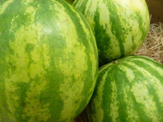 whole wattermelons sold at the market