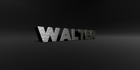 WALTER - hammered metal finish text on black studio - 3D rendered royalty free stock photo. This image can be used for an online website banner ad or a print postcard.