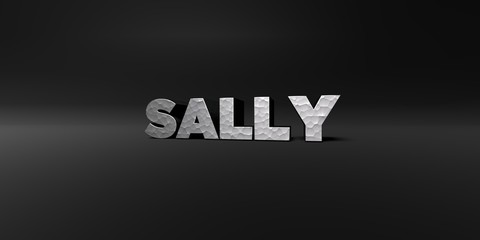 SALLY - hammered metal finish text on black studio - 3D rendered royalty free stock photo. This image can be used for an online website banner ad or a print postcard.