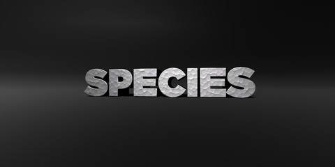 SPECIES - hammered metal finish text on black studio - 3D rendered royalty free stock photo. This image can be used for an online website banner ad or a print postcard.
