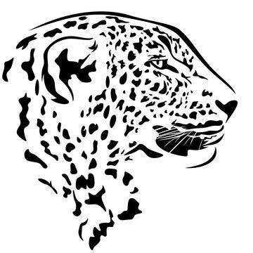 leopard head side view black and white vector outline