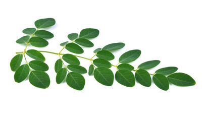  Moringa leaves