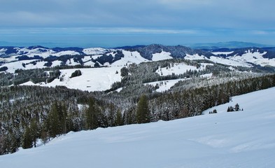 Fototapeta na wymiar Schnee im Appenzeller Land