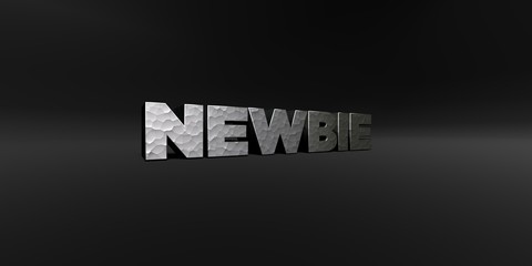 NEWBIE - hammered metal finish text on black studio - 3D rendered royalty free stock photo. This image can be used for an online website banner ad or a print postcard.